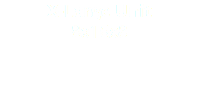X-Large Unit 8x16x8